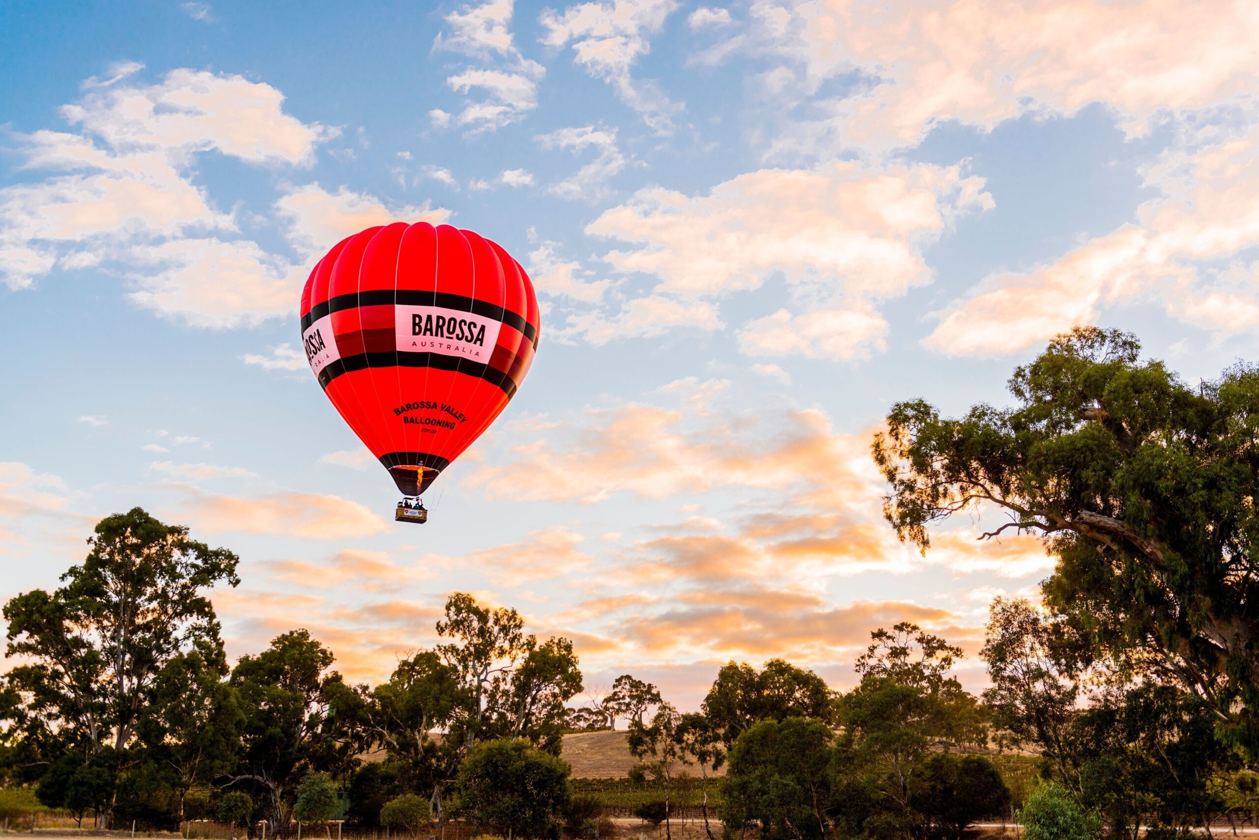 Best things to do in the Barossa