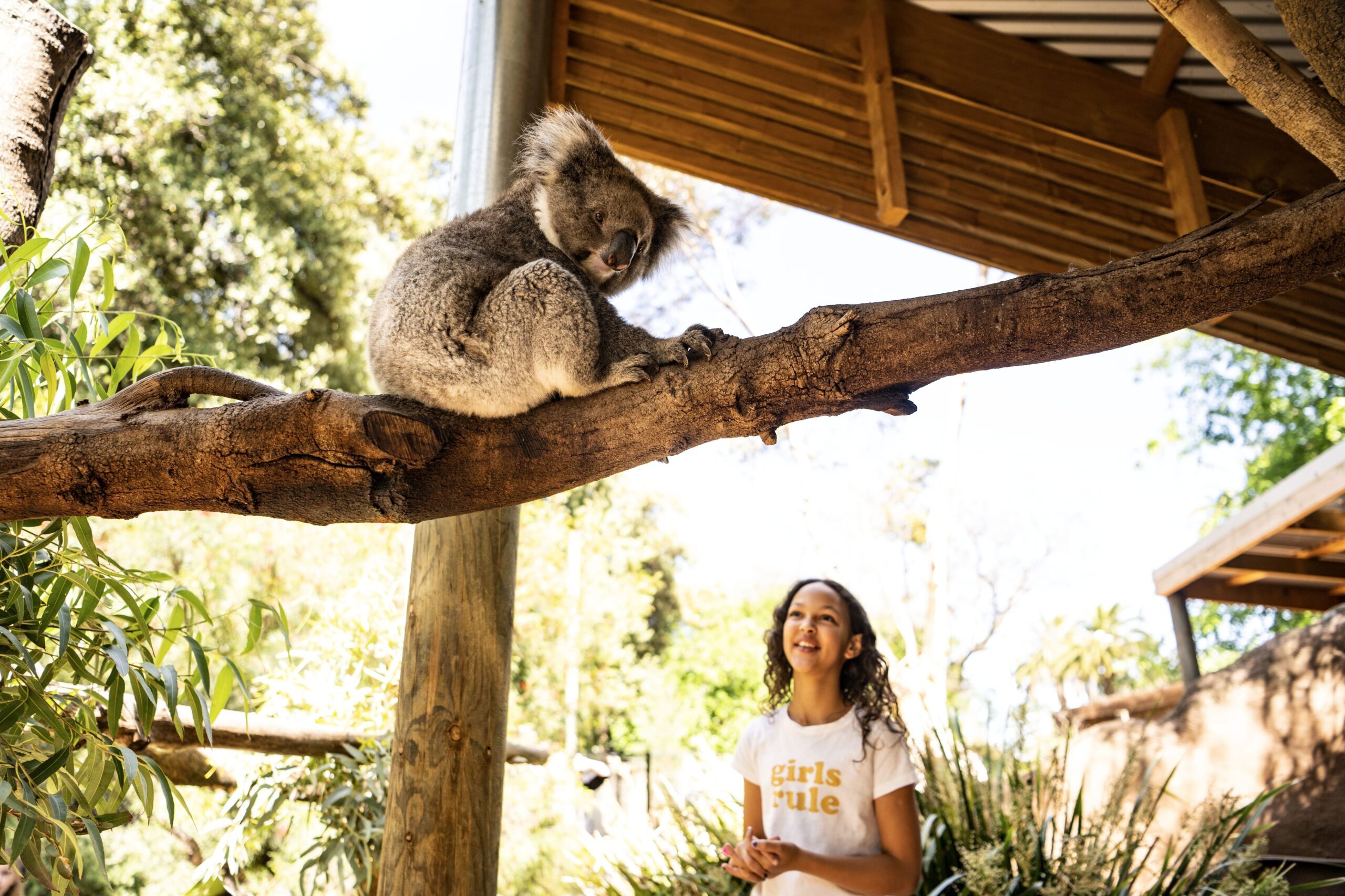 Adelaide Zoo