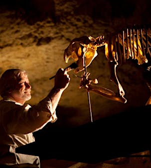 Naracoorte Caves National Park